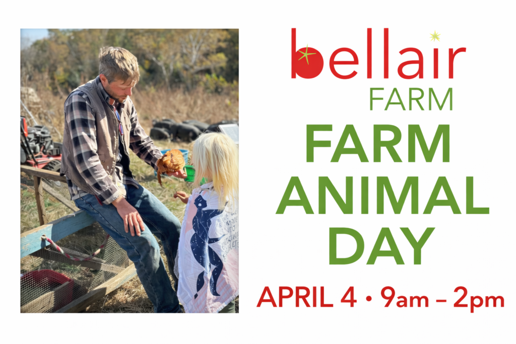 farm animal day at bellair farm