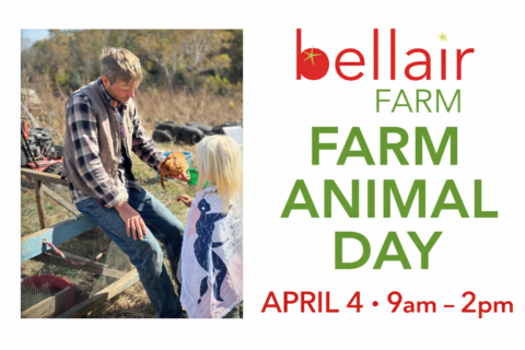 farm animal day at bellair farm