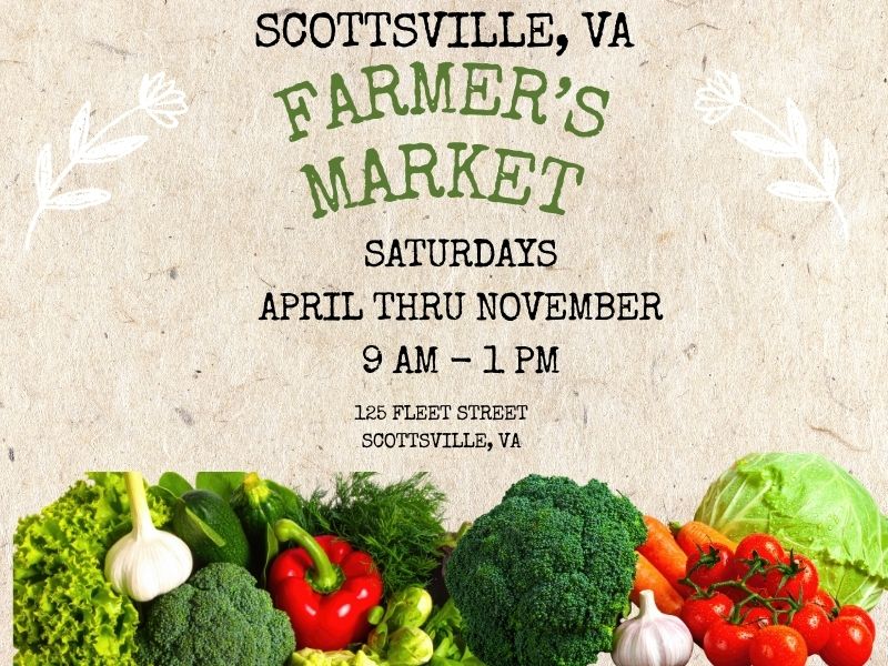 655574282 122099753684983123 1026204173196394725 n