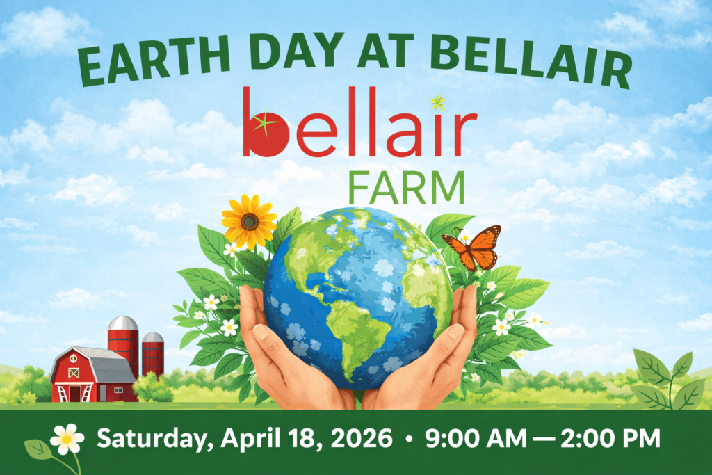 chatgpt image apr 15, 2026, 05 26 00 pm