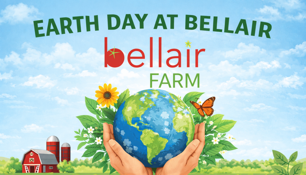 chatgpt image apr 15, 2026, 05 26 00 pm