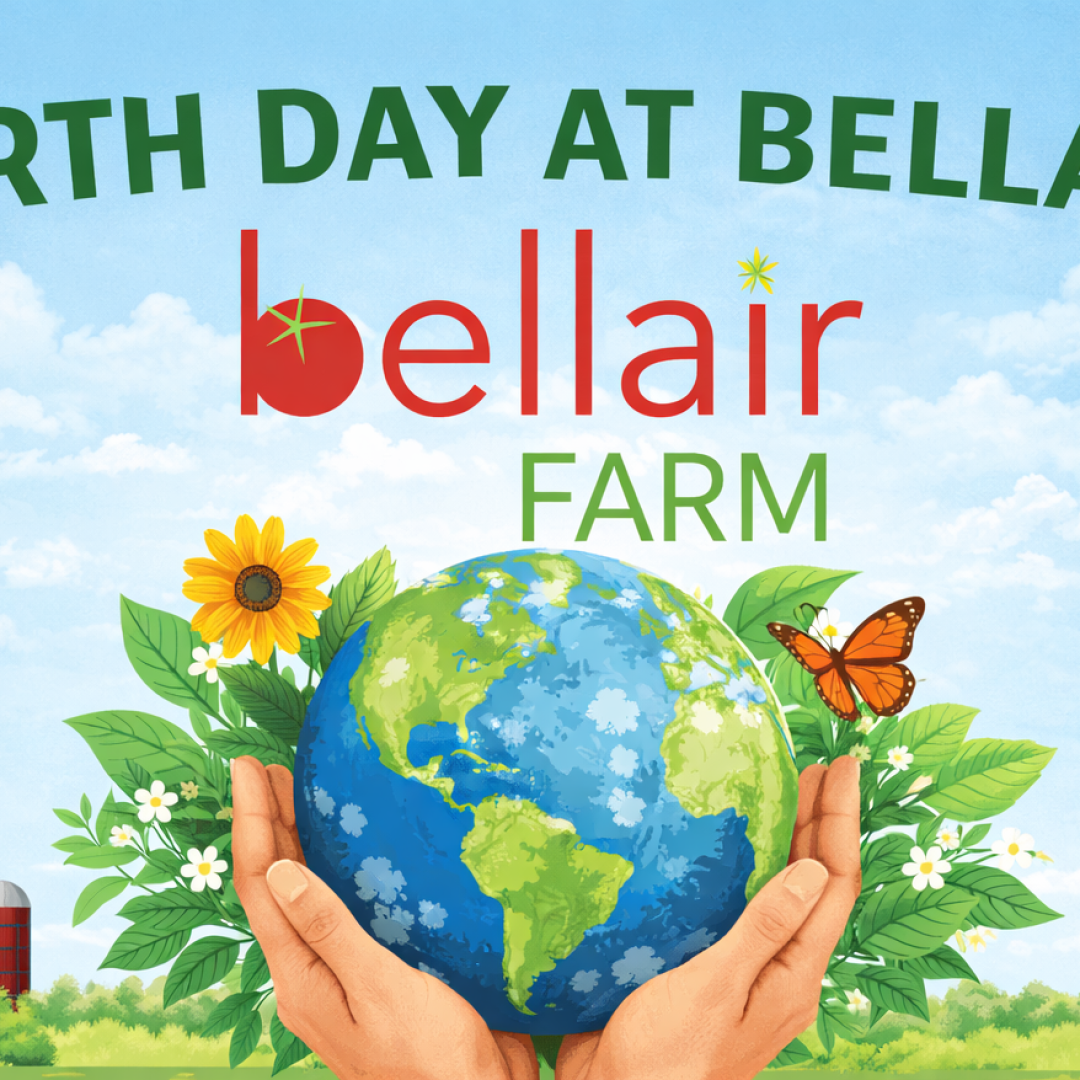 chatgpt image apr 15, 2026, 05 26 00 pm