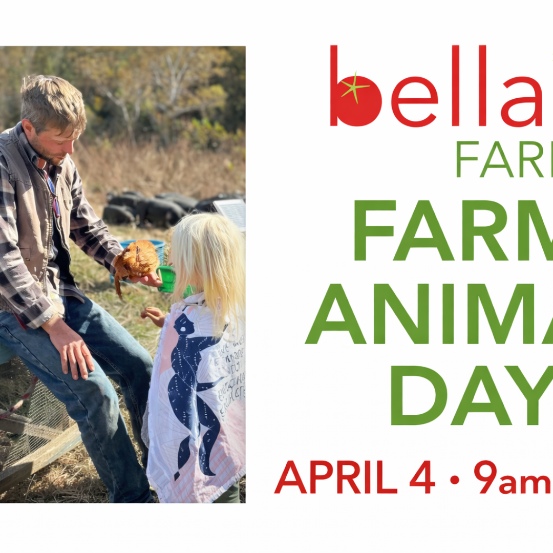 farm animal day at bellair farm