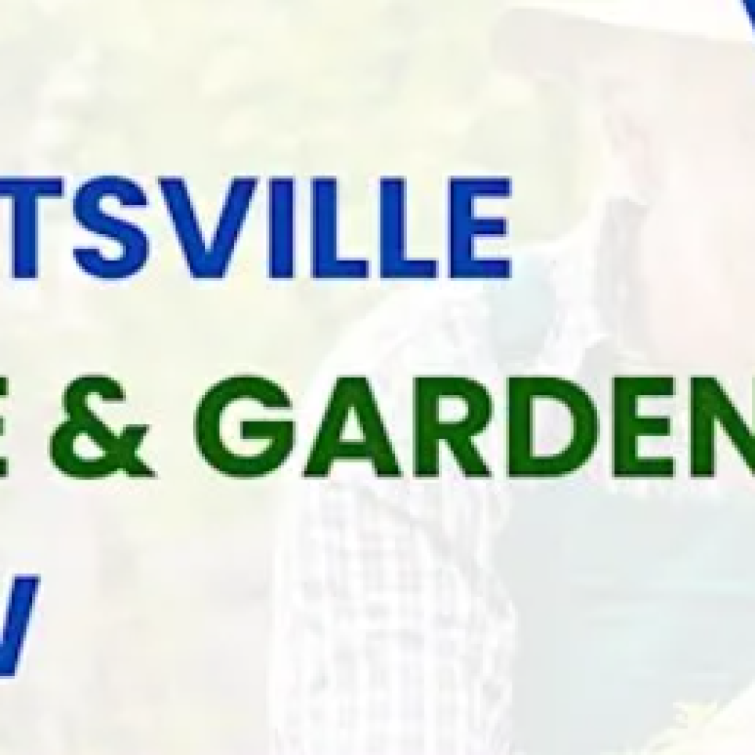 screenshot 2026 03 10 185245